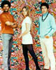 The Mod Squad television show: tapestry
